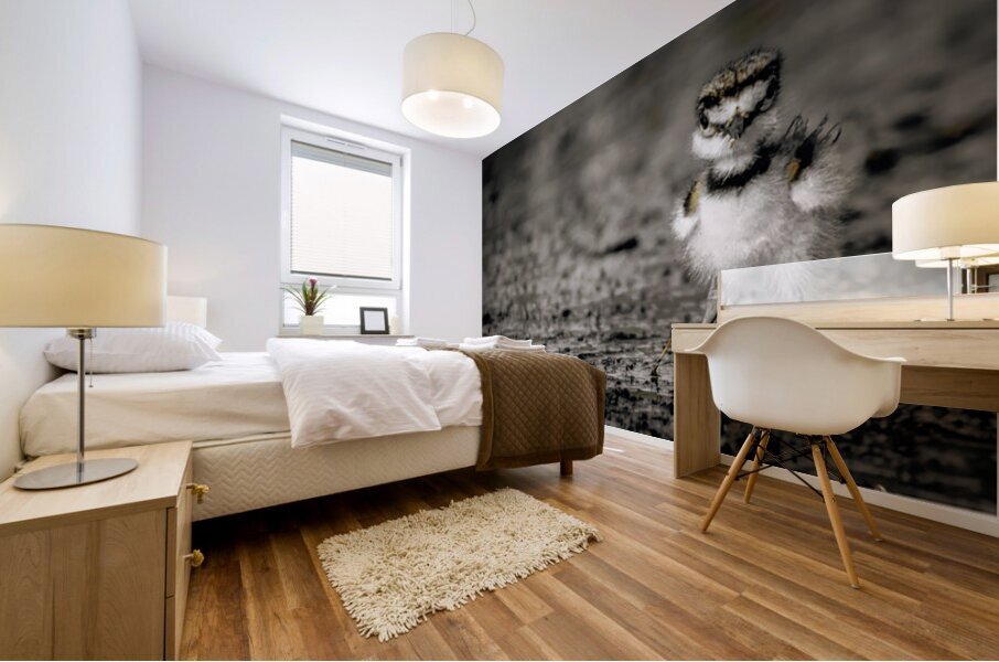 Born Confidence Mural print