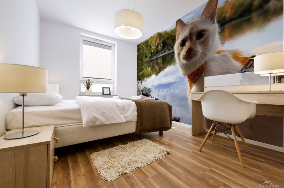 Striking a Cat-ivating Pose  Mural print