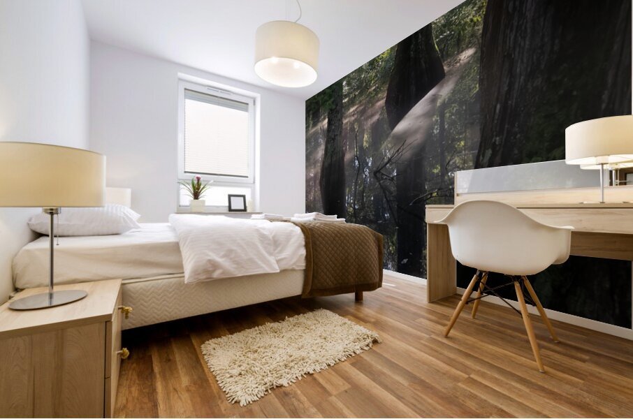 Virginia Beach State Park Luminous  Sunrise Fog Glow Mural print