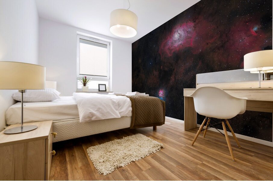 Astronight Astrophotography 18 Mural print