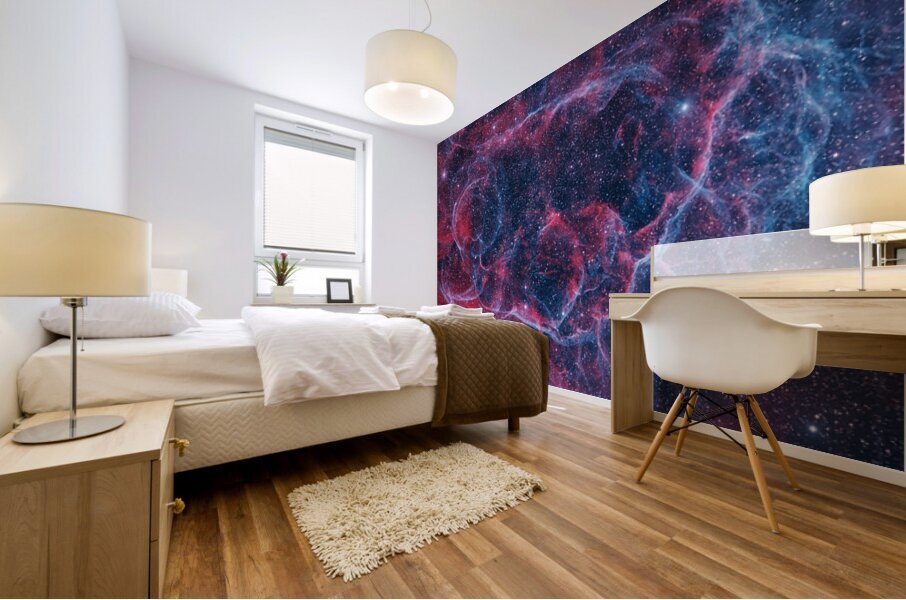 Astronight Astrophotography 23 Mural print