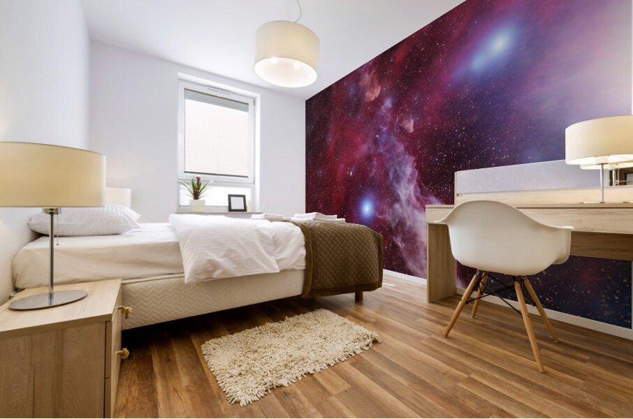 Astronight Astrophotography 43 Mural print