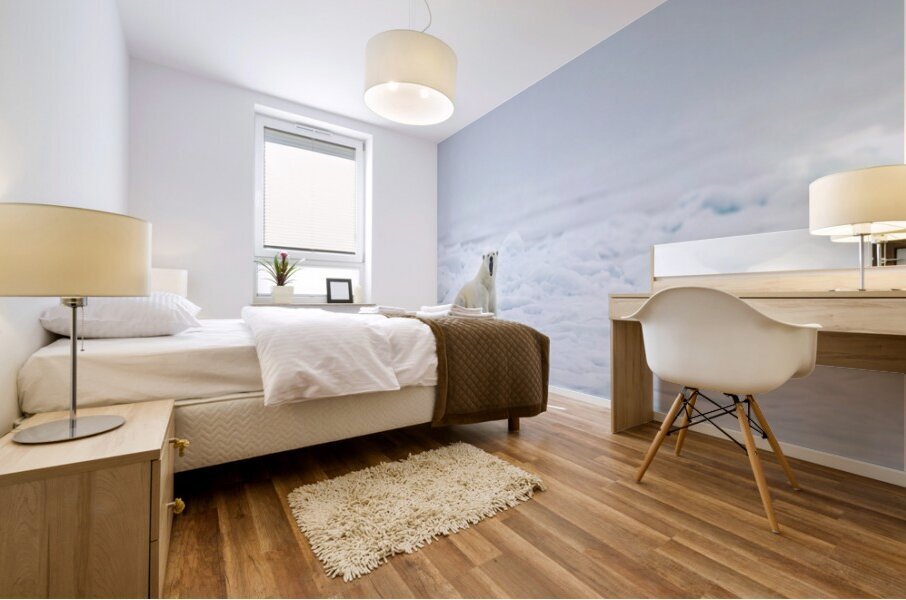 EMPRESS OF THE ARCTIC 7 Mural print