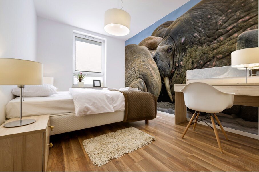 WHAT ARE YOU LOOKING AT Mural print