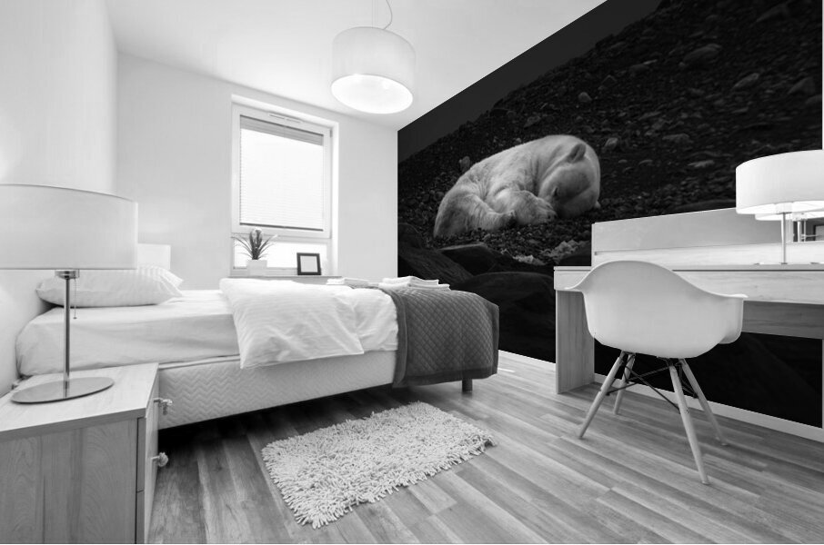 DREAMING OF ICE Impression murale