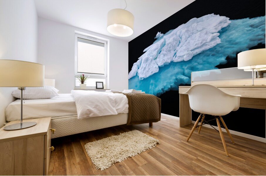 JELLYFISH ICEBERG Mural print