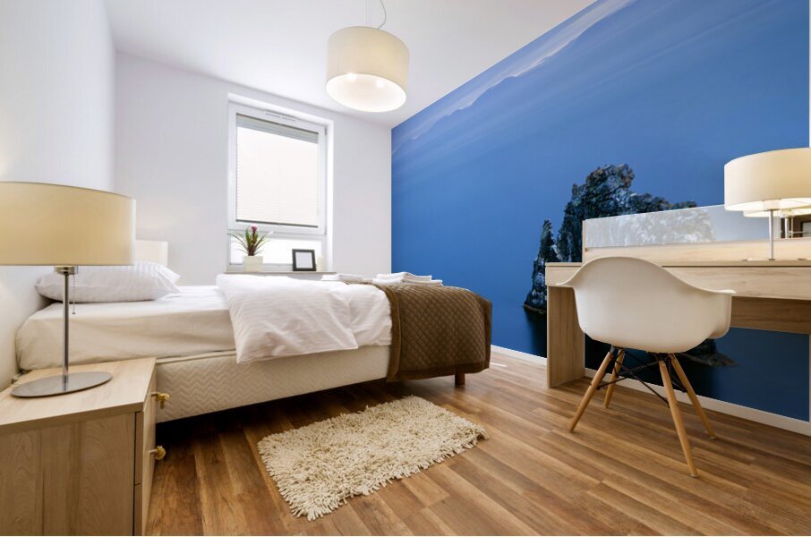 HVITSERKUR TROLL OF NORTHWEST ICELAND Mural print