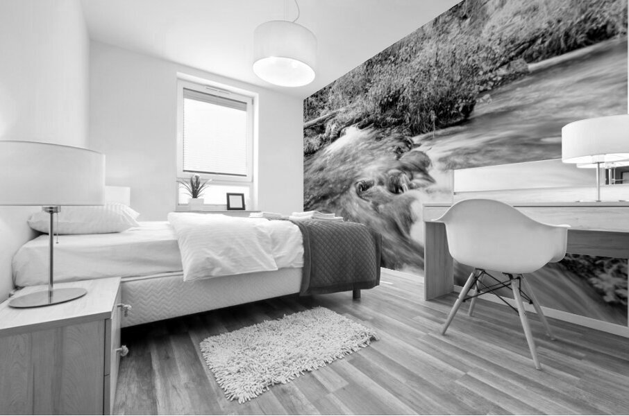 Autumn Cascades At Ozarks Greer Spring Grayscale Mural print