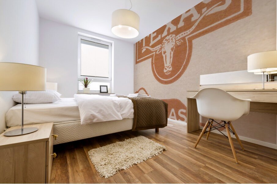 Vintage Austin Texas and Longhorn Art Mural print