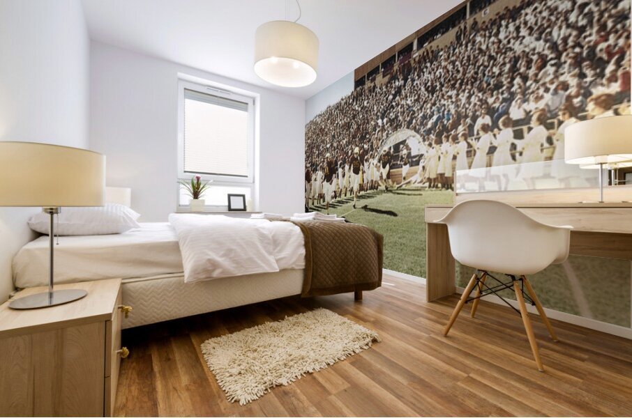 Vintage 1950s Wyoming Cowboys Football Entrance Art Mural print