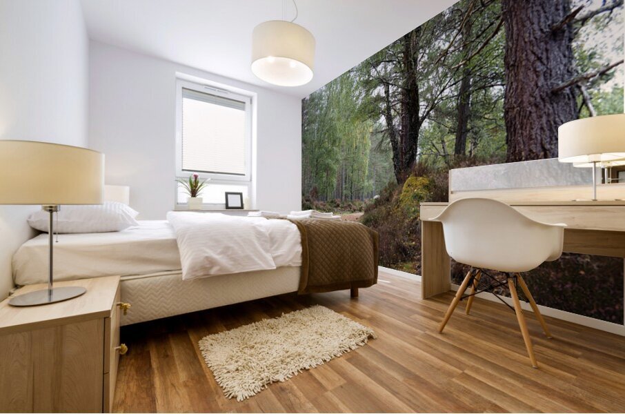 Peaceful Autumnal Forest Trail                                                                                                                      Mural print