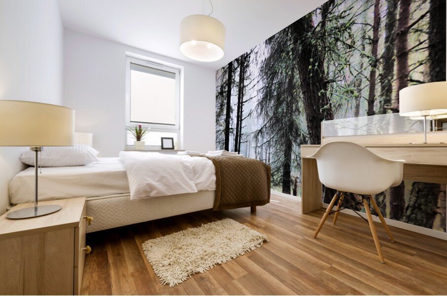 Scottish Highlands Misty Morning Pine Forest Mural print