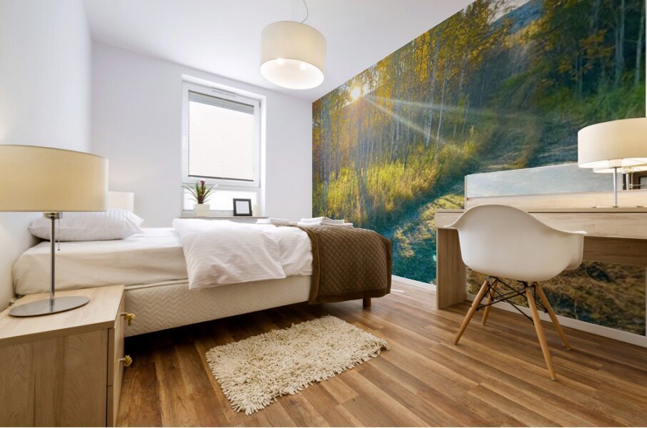 IMG 2250 bright rays of light in the aspens Mural print