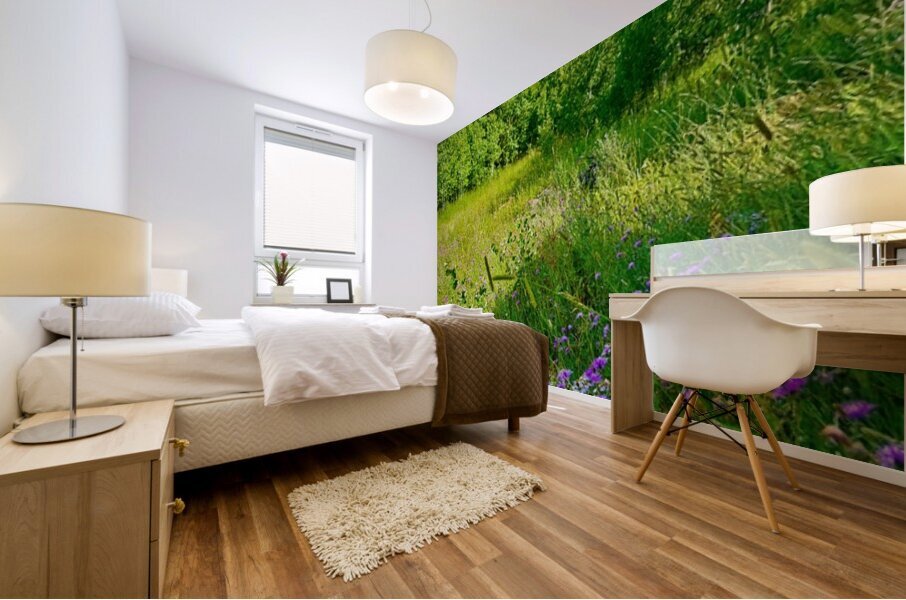 IMG 4039 Green grass purple flowers blue sky Mural print