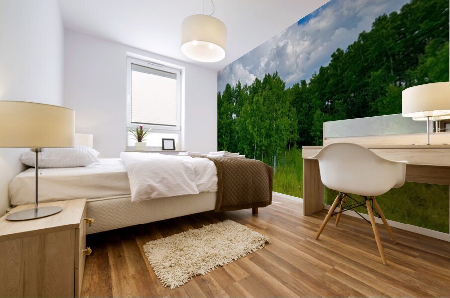 IMG 4041 wildflowers and Aspen trees Mural print