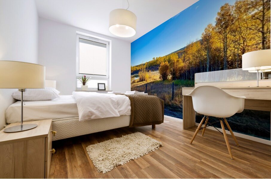 IMG 2245 Beautiful scene in the mountains Mural print