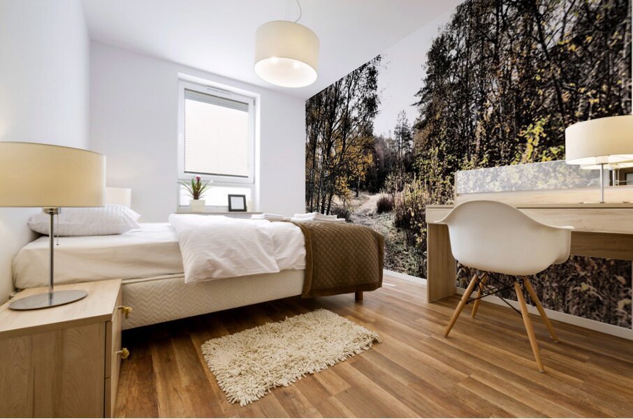  Scottish Highlands Autumnal Nature Trail                                                                                                                     Mural print