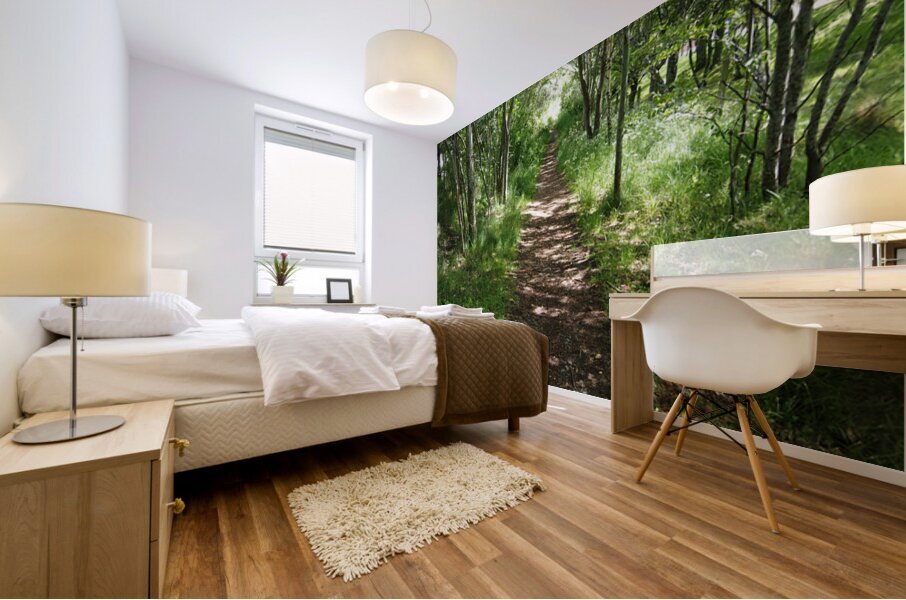 Light and Shadow on a Scottish Highlands Trail                                                                                                                      Mural print