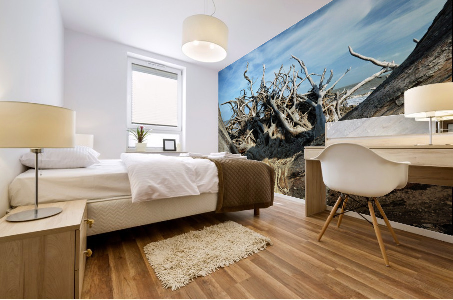 Eroticism at Driftwood Beach on Jekyll Island Mural print