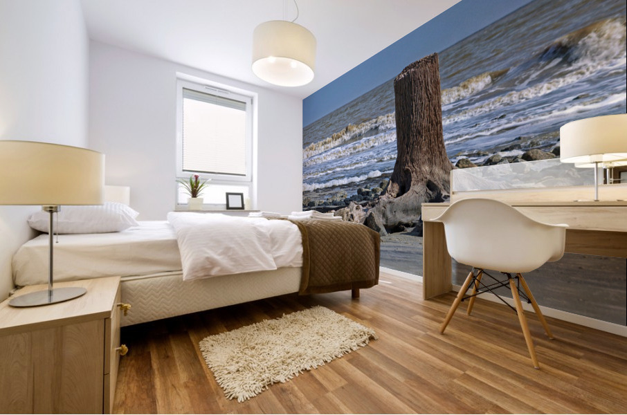 Driftwood Beach Post Mural print