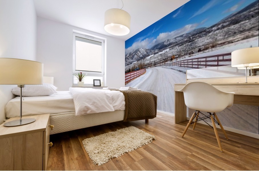 White shroud Mural print