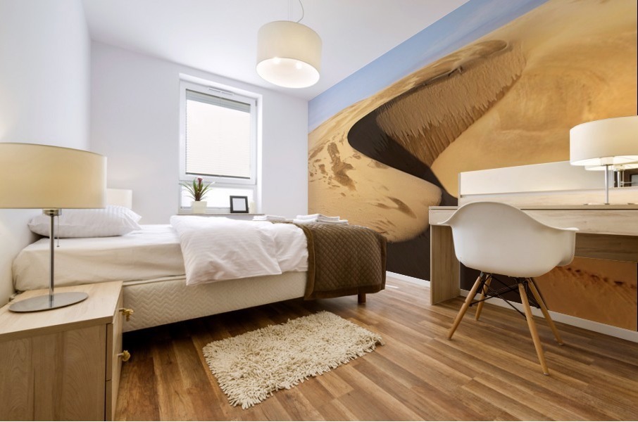 CRW_6896 Mural print