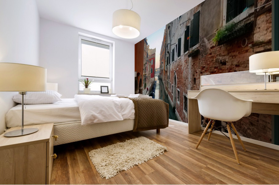 Venice Mural print