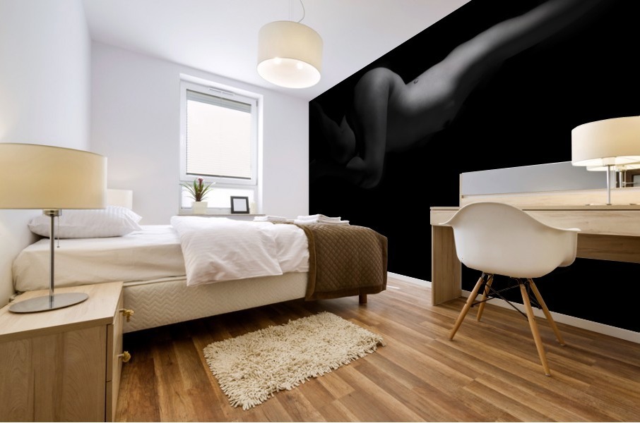 HR9_9275 Mural print