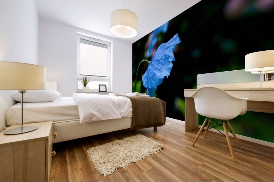 Himalayan Poppy Mural print