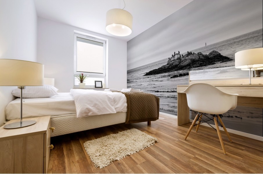 Monterey Peninsula 1399 Mural print