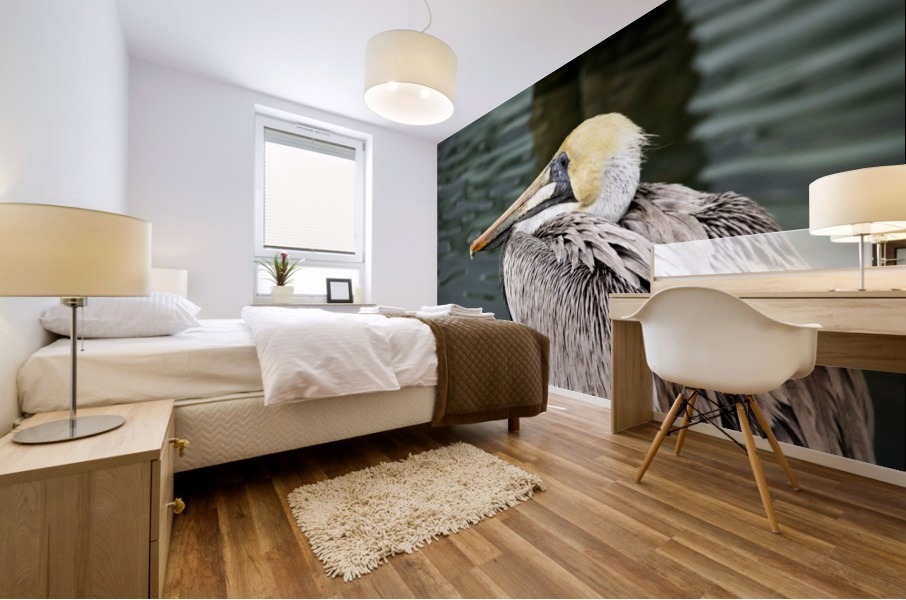 Pelican 1 Mural print