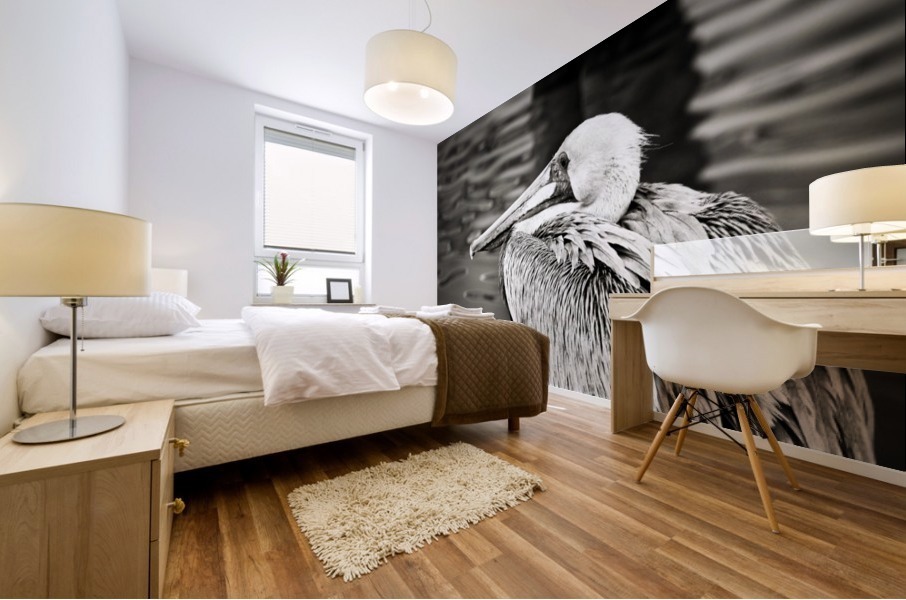 Pelican 1 in Black and White Mural print