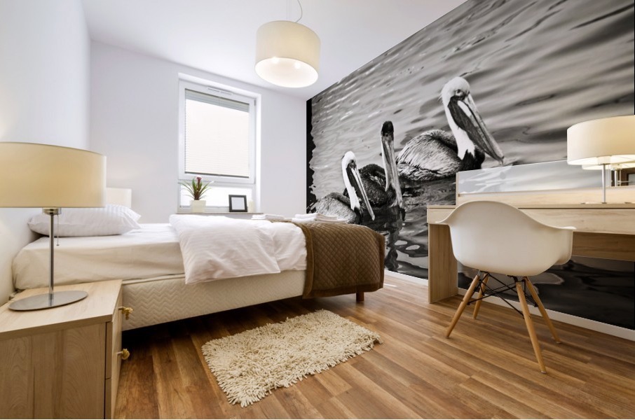 Pelicans in Black and White Mural print