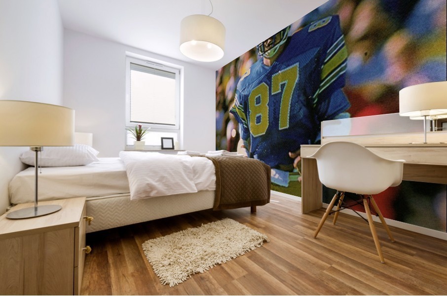 1983 College Football Art_Colorado Buffaloes Football Art Poster Mural print