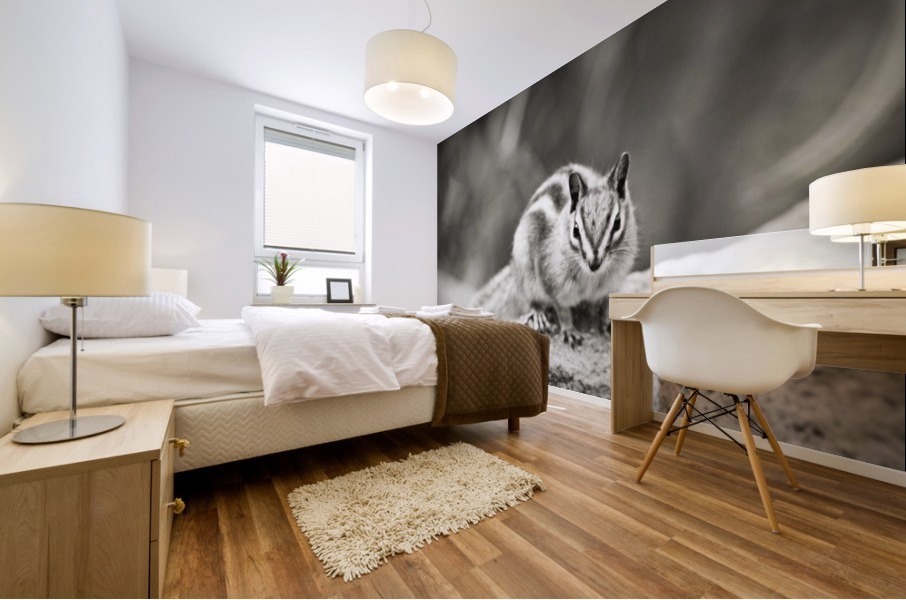 Chipmunk in Black and White Mural print