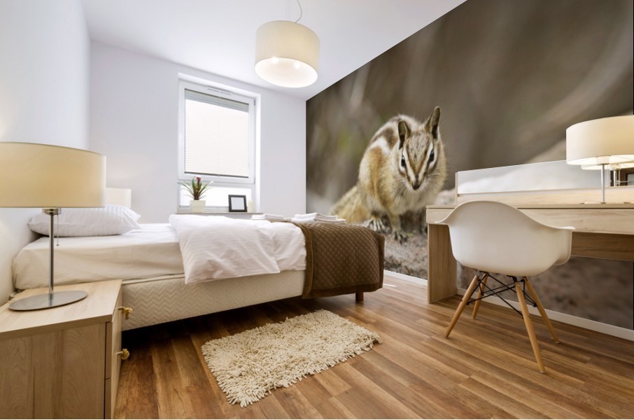 Chipmunk Mural print