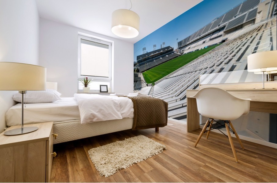 Bobby Dodd Stadium Georgia Tech   Atlanta GA 3388 Mural print