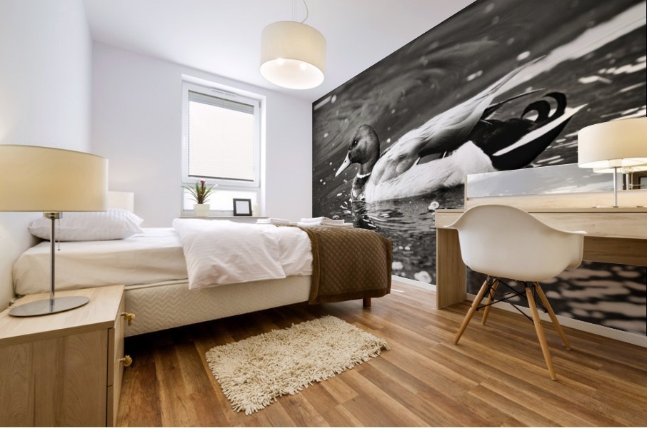 Duck in Black and White Mural print