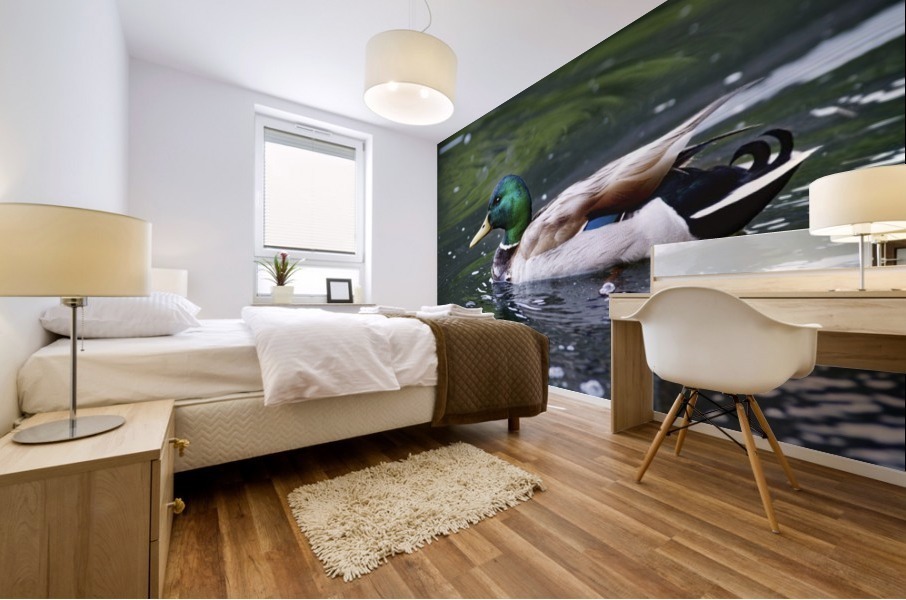 Duck Mural print
