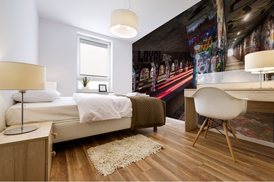 Krog Street Tunnel   Atlanta GA 0145 Mural print