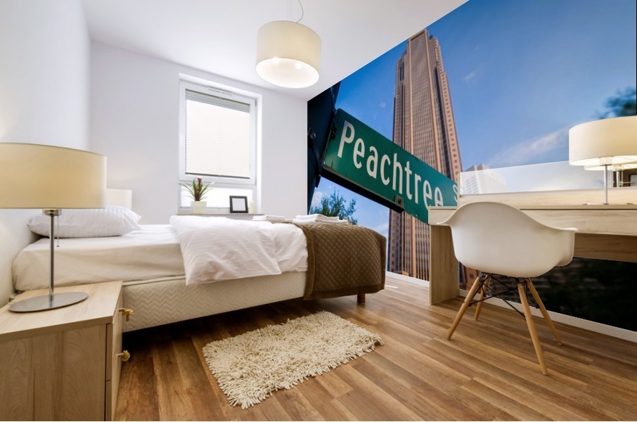Peachtree Street Sign   Atlanta GA 4641 Mural print