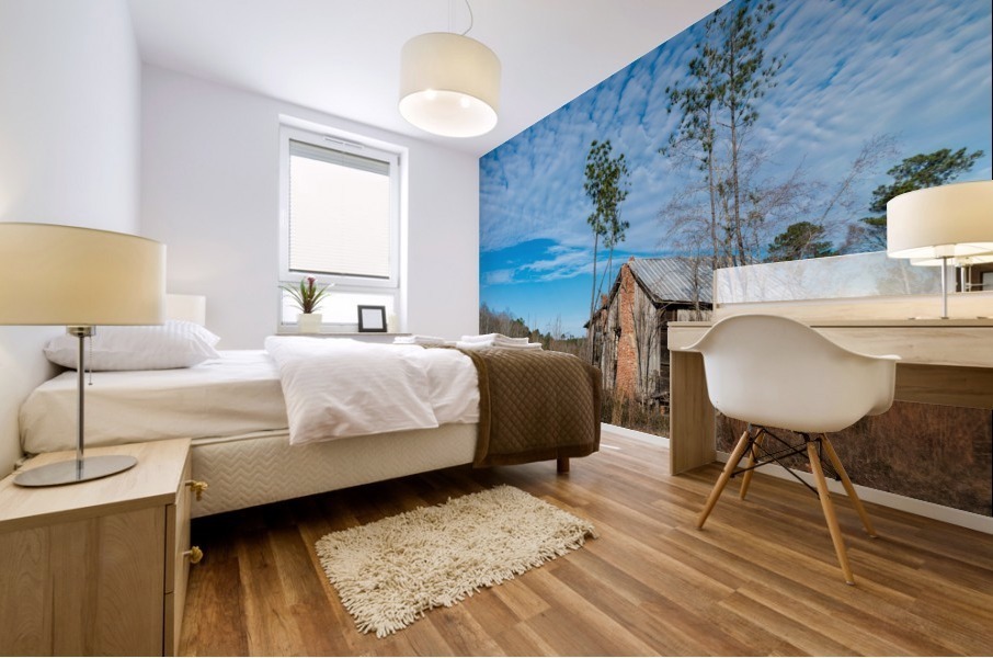 Abandoned House in Columbia County GA 0640 Mural print