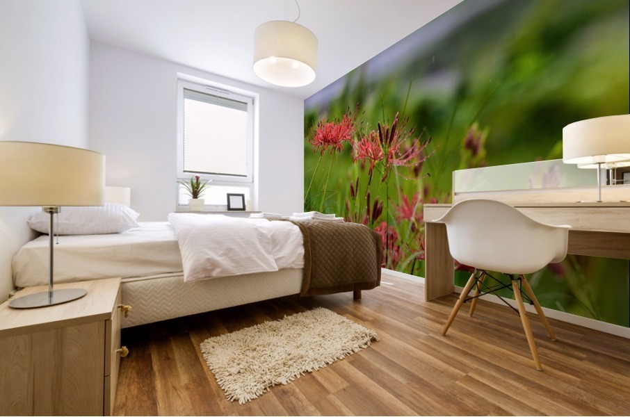 Wild Spider Lilly Mural print
