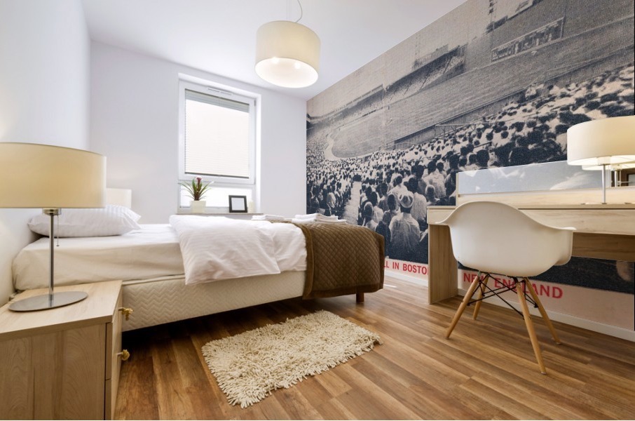 Historic Fenway Park Baseball Stadium_ Home of American League Baseball Mural print