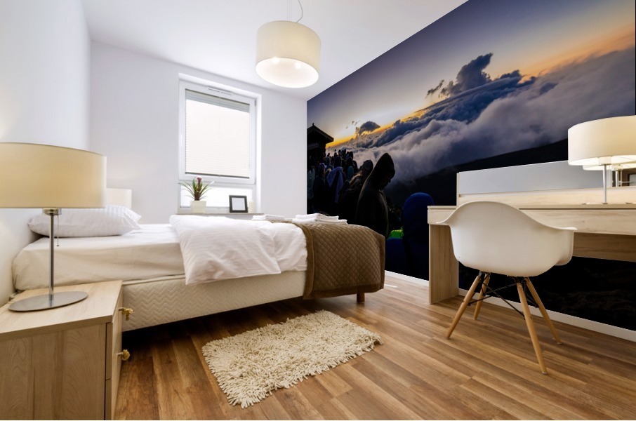 Haleakala National Park   Maui Hawaii 1673 Mural print