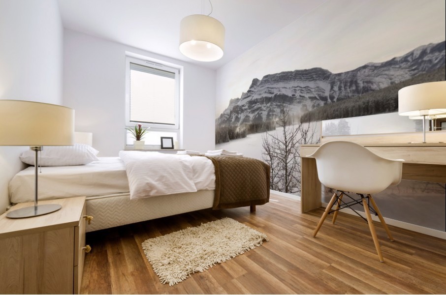 Frozen Lake Mural print