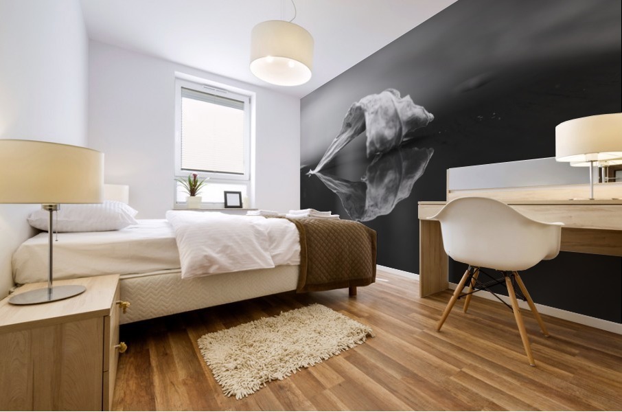 The Paradise of Reflections  Mural print