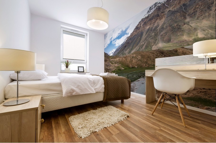 North Spiti Valley India Mural print