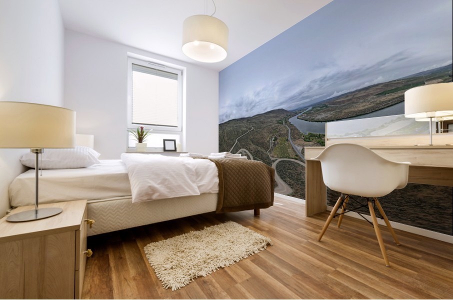 DJI_0059 Mural print