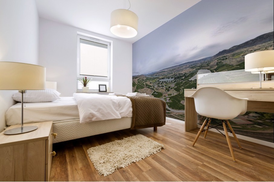 MA2DJI_0094 Mural print